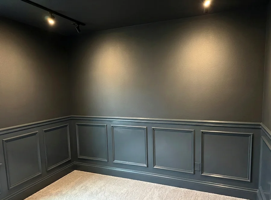 Finished Dripping Springs media room with dark painted walls, ceiling, wall panel trim, and track lighting